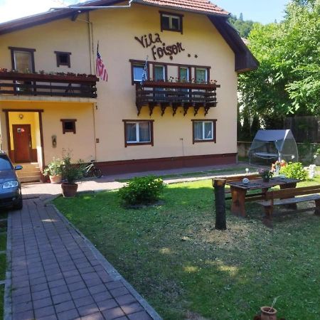 Villa Foisor Busteni Bagian luar foto