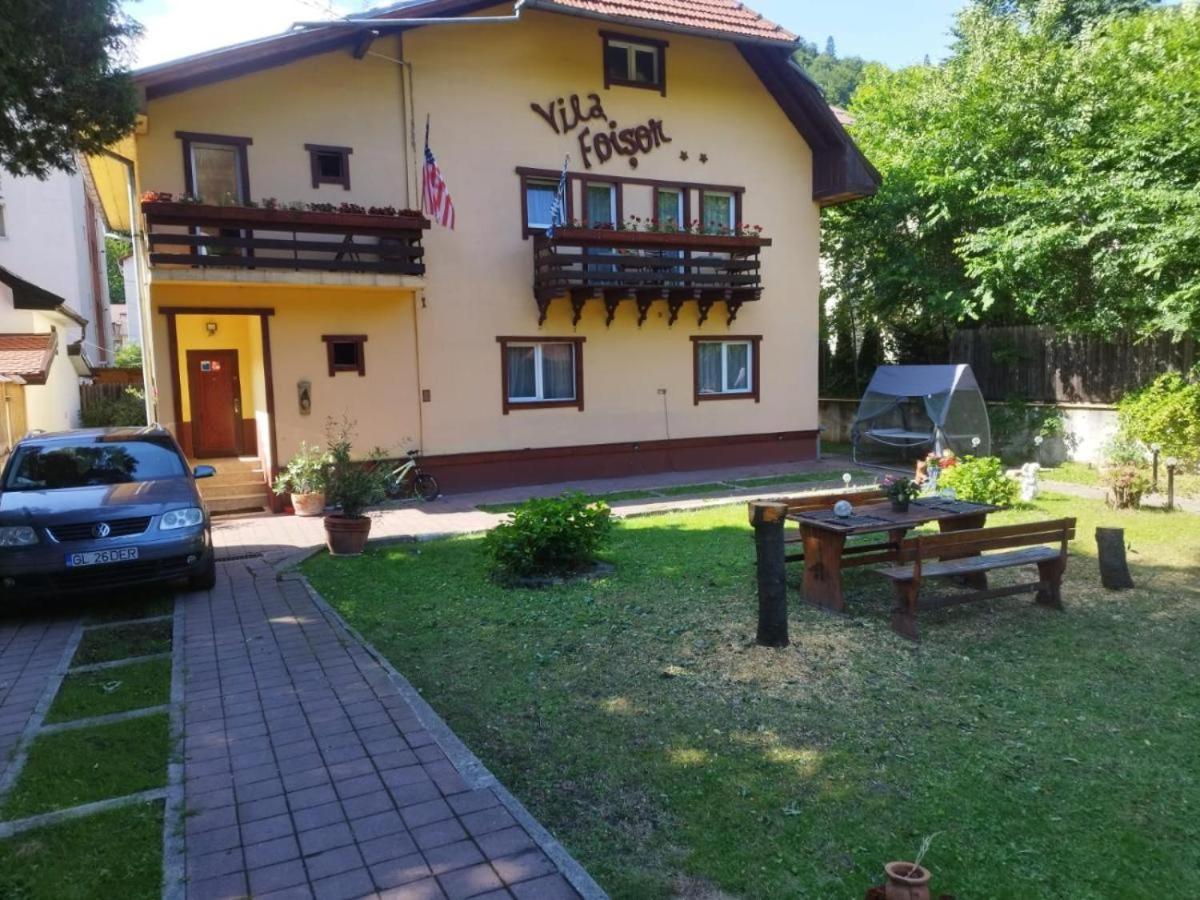 Villa Foisor Busteni Bagian luar foto